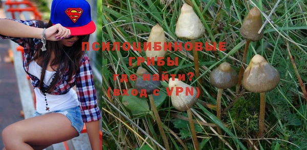 MDMA Белокуриха