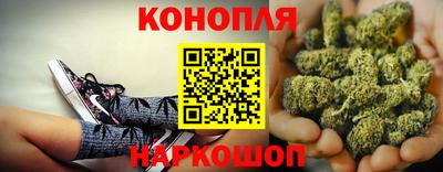ALPHA PVP Гусев