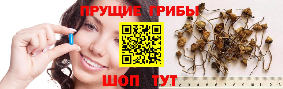 Псилоцибиновые грибы MAGIC MUSHROOMS Острогожск